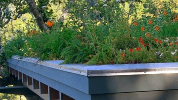 Coperture a verde: quali piante per i tetti della Lombardia?