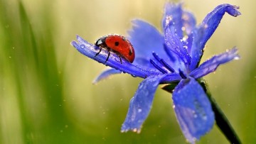 Le foto vincitrici del concorso ‘Fotografare il Parco’