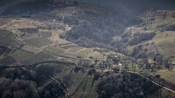 I campi del grano saraceno in Bosnia per il Premio Scarpa