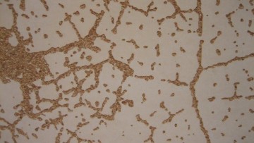 Calcestruzzo: un’infinita varieta’ di finiture superficiali