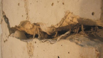 Calcestruzzi speciali: le principali tipologie