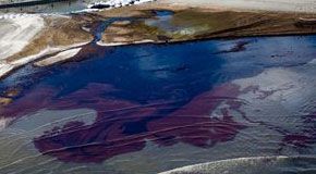 Marea nera: ancora fuoriuscite per 2 – 4 anni