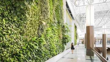 Verde verticale: le caratteristiche esecutive e gestionali