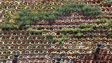 Verde in architettura: la progettazione di rivestimenti vegetali