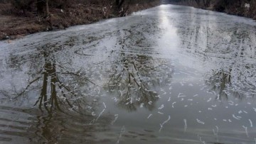 Sversamento di reflui: disciplina delle acque o dei rifiuti?