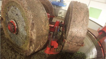 Molitura delle olive: lo scarico non autorizzato dei reflui costituisce reato