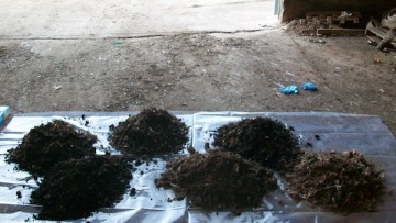 Campionamento rifiuti e norma Uni 10802: il parere della Cassazione