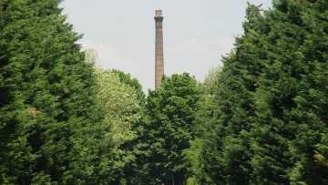 Progettare barriere frangivento con la vegetazione