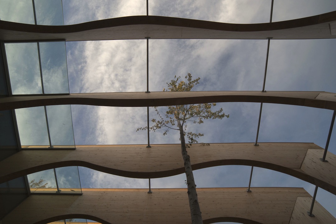 cantiere - courtesy of Rubner Holzbau