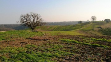 Imu e Tasi verso la revisione con il Ddl Stabilità 2016