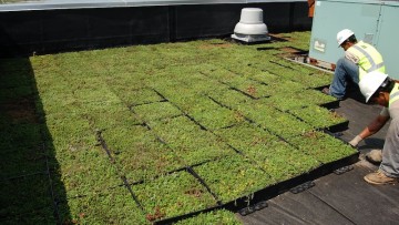Coperture a verde: cosa prevede la nuova norma tecnica Uni