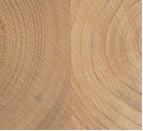 Giachino 9_FIG 1_Trave bilama o duo (Foto Davide Maria Giachino)