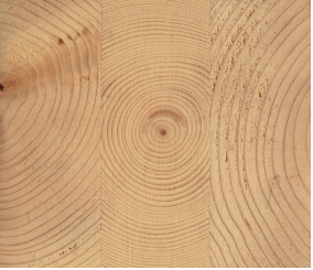 Giachino 9_FIG 2_Trave trilama o trio (Foto Davide Maria Giachino)