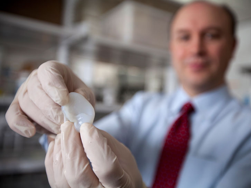 L'orecchio umano stampato in 3D alla Cornell University nel 2006 (© Lindsay France)