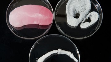 Creati tessuti organici complessi con la stampa 3d