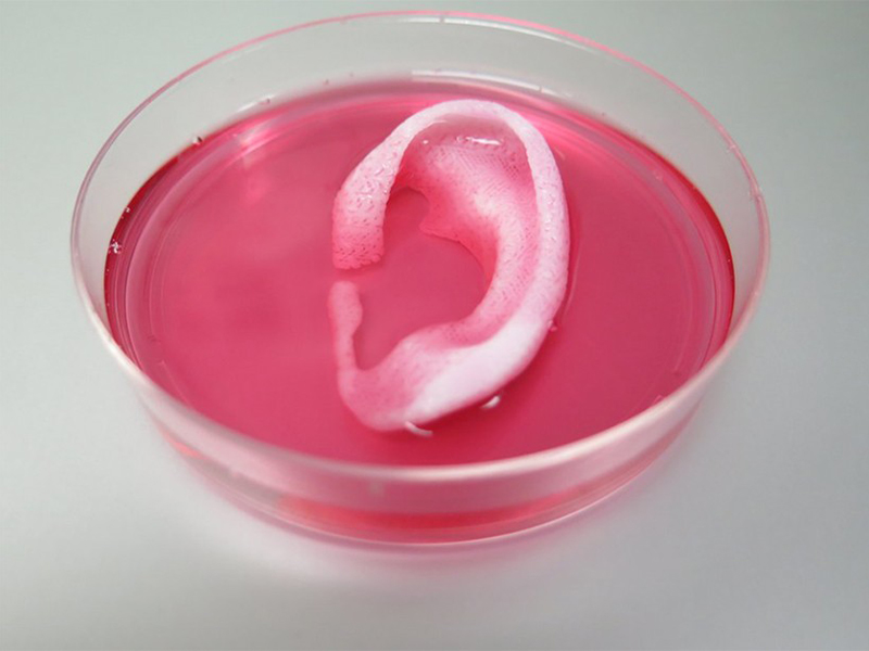 Il materiale plastico biodegradabile nello speciale liquido © Wake Forest Baptist Medical Center