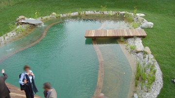 Biopiscine: gli elementi costitutivi