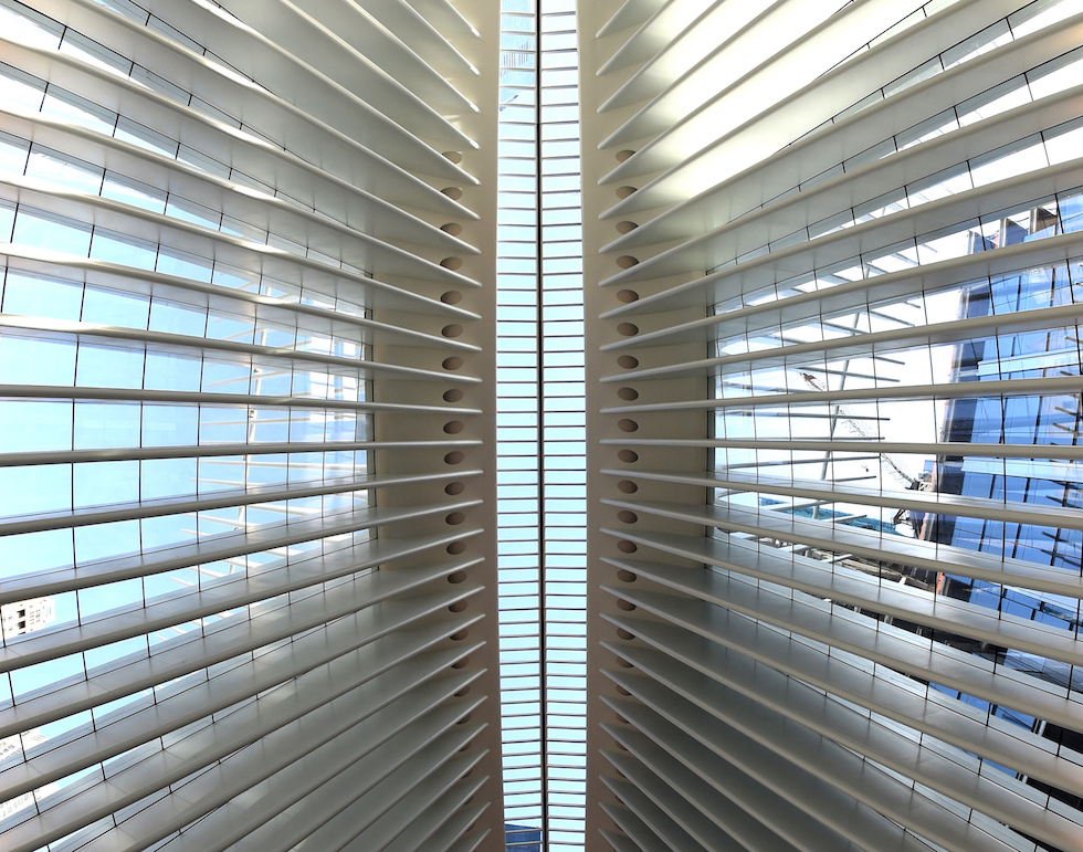 US-TRANSPORTATION-OCULUS