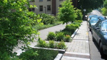 A che cosa serve il Piano del Verde Urbano?