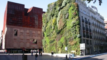 Come funziona il Mur Vegetal di Patrick Blanc