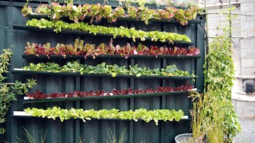 Come realizzare e coltivare un orto in facciata