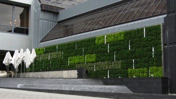 Quando il verde verticale serve alla riqualificazione edilizia