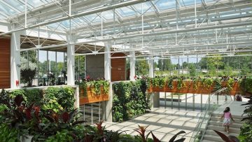 Come usare il verde verticale per il trattamento naturale dell’aria