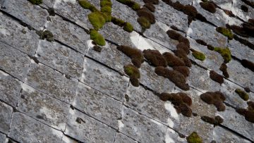 L’amianto nelle architetture del Novecento: dove si trova e come fare la bonifica