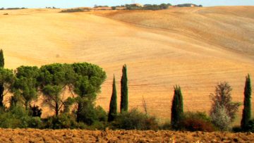 Autorizzazione paesaggistica postuma in sanatoria