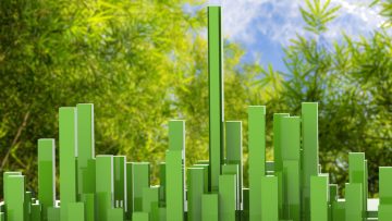 In cosa consiste il Piano Strategico di sostenibilità 2024-26 approvato da Invitalia