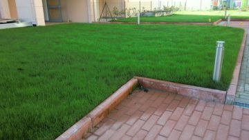 Verde pensile estremo: come scegliere i substrati