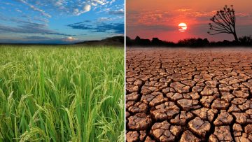 Cambiamenti climatici, l’atlante del Crea