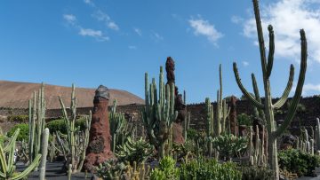 Il Premio Scarpa 2017 al Giardino dei Cactus di Lanzarote