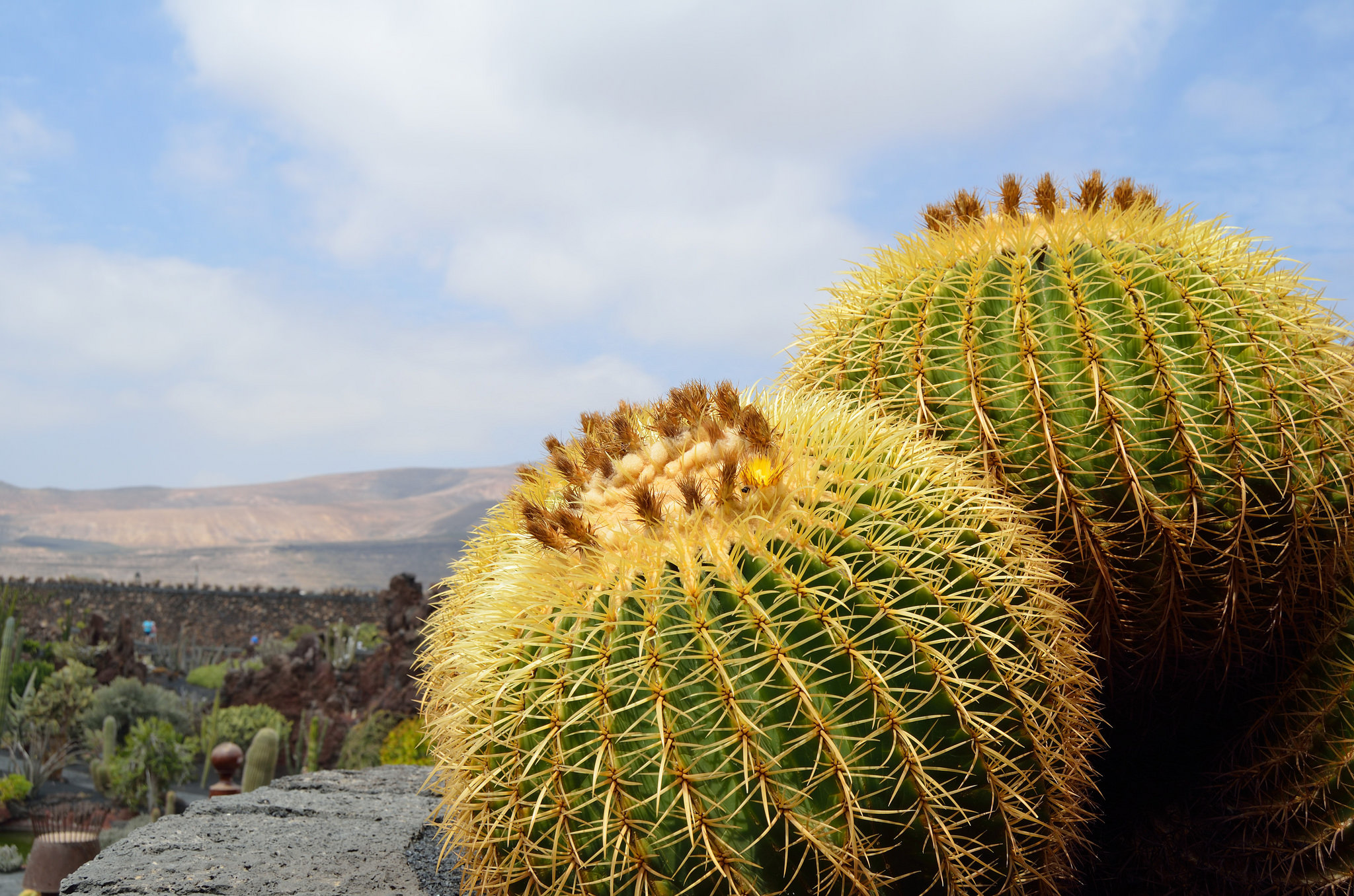 © Julen Ruiz Luzuriaga/Flickr.com