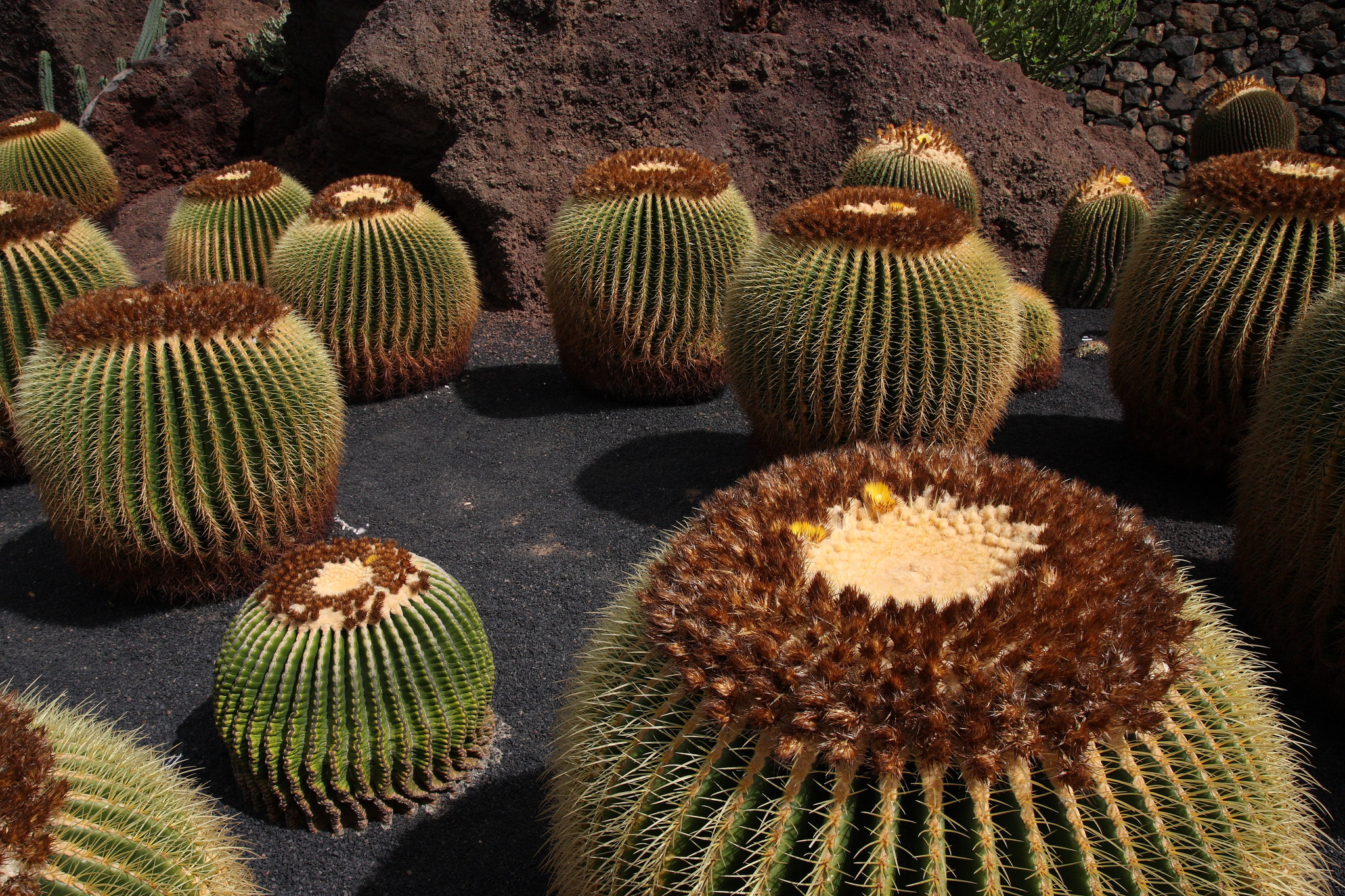 © yeowatzup/Flickr.com