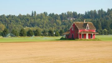 Fabbricati rurali ed ex rurali: come adempiere all’obbligo di accatastamento