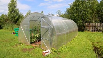 Titoli abilitativi edilizi: una serra non stagionale richiede la concessione