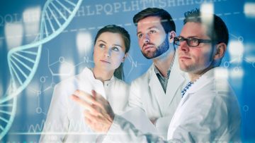 Ingegneria Biomedica in Italia: atenei, materie e sbocchi lavorativi Ingegneria Biomedica in Italia: atenei, materie e sbocchi lavorativi