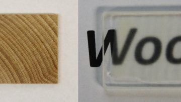 Il legno trasparente: un nuovo materiale per l’edilizia? Il legno trasparente: un nuovo materiale per l’edilizia?