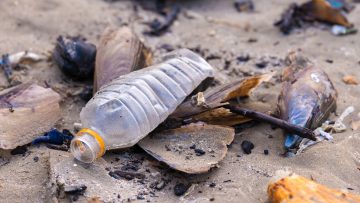 Plastica ed economia circolare: quale strategia per l’Europa?