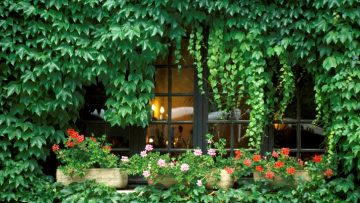 Bonus Verde: cos’è e come funziona