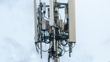 Inquinamento elettromagnetico: effetti biologici e tutela sanitaria