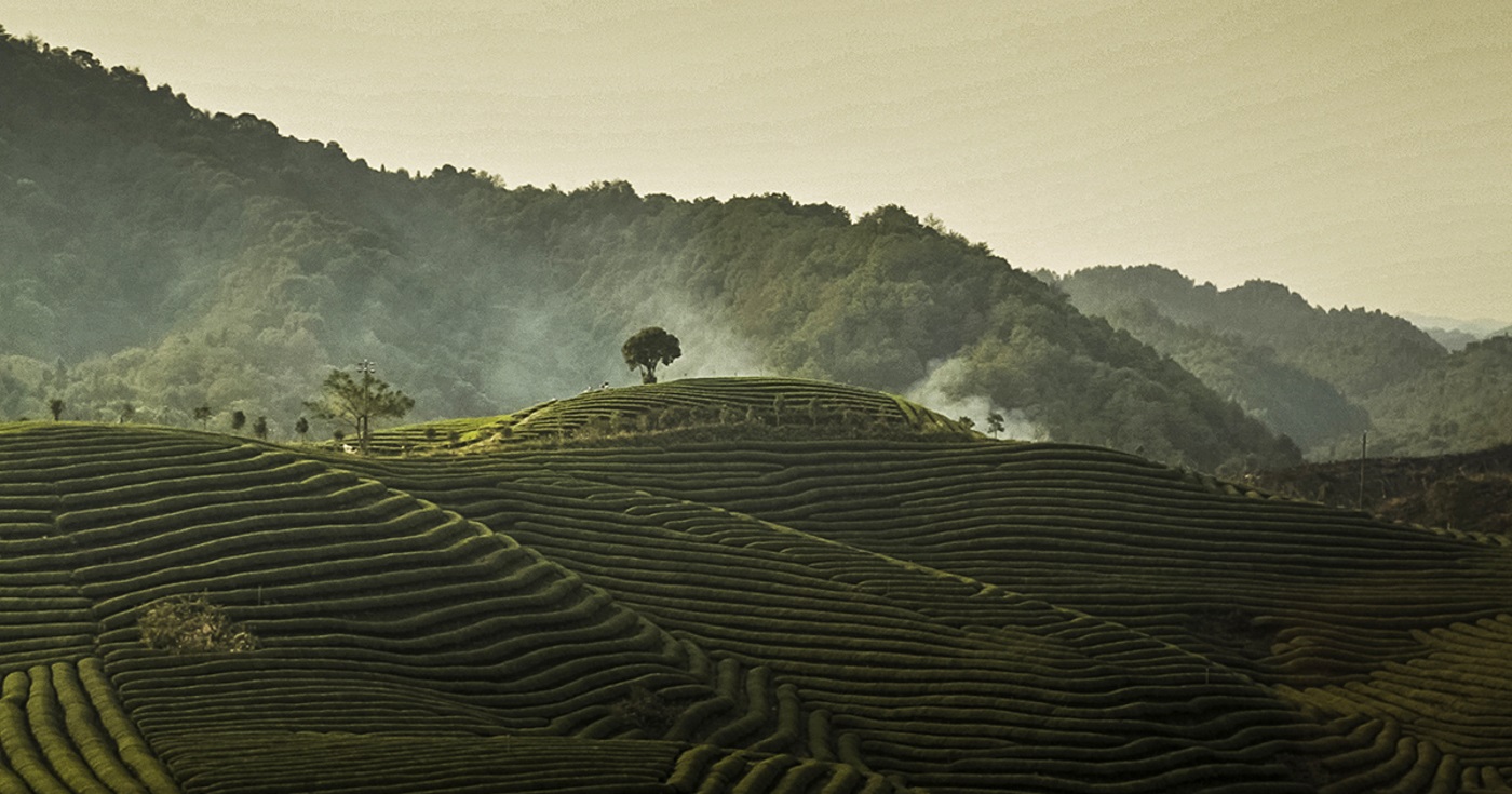 Il premio Carlo Scarpa per il giardino vola in Cina