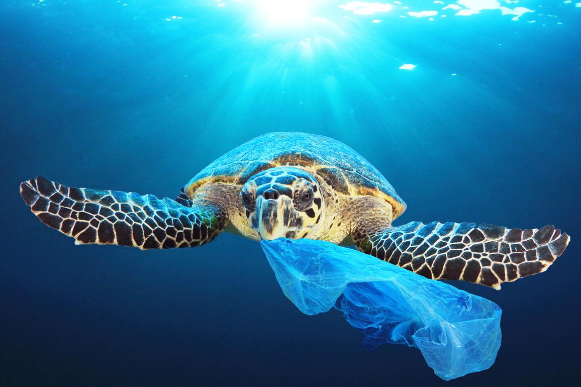 Europa plastic free, stop al monouso per salvare i nostri mari