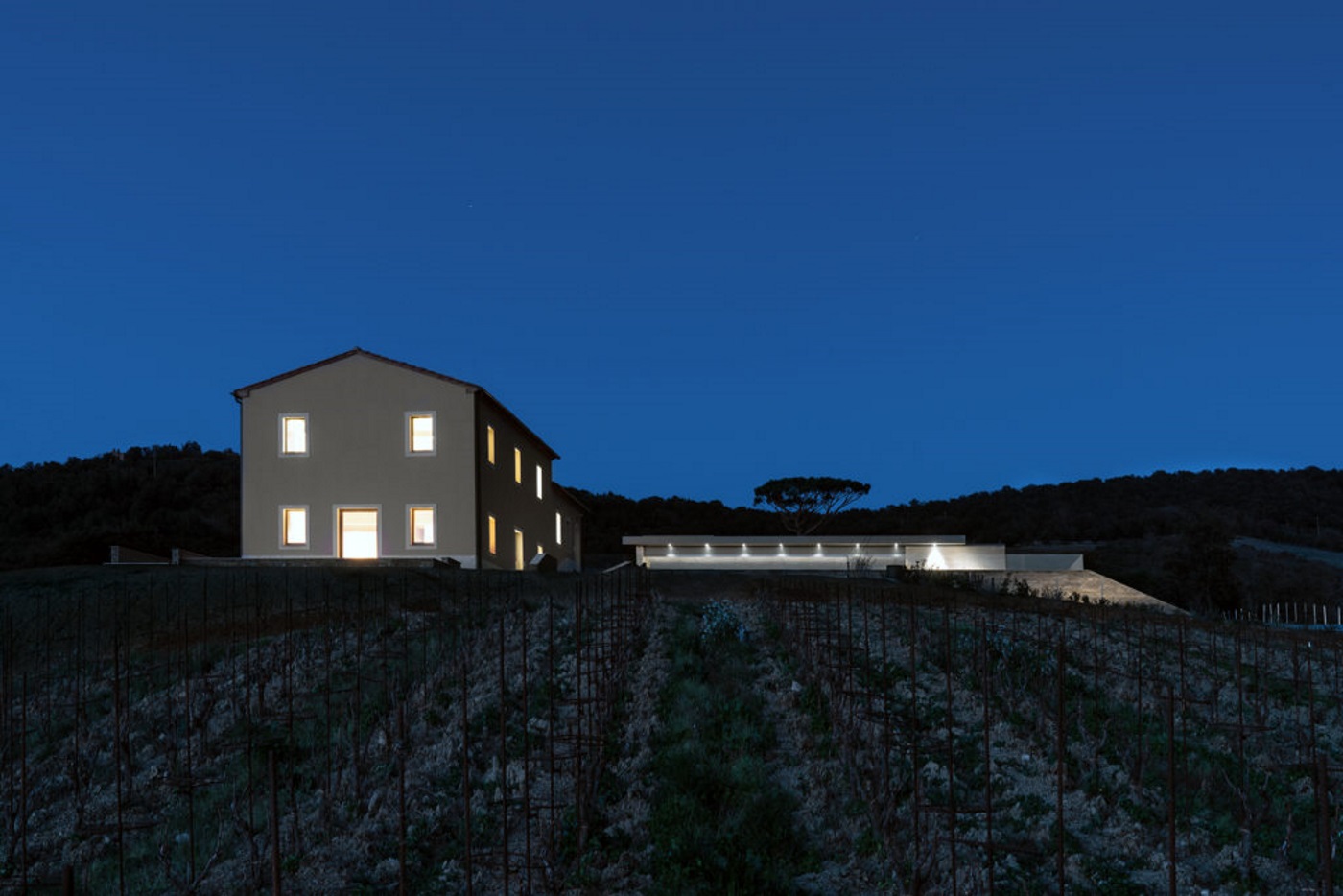 Tenuta Masseto, una cantina-cava nel cuore della Toscana