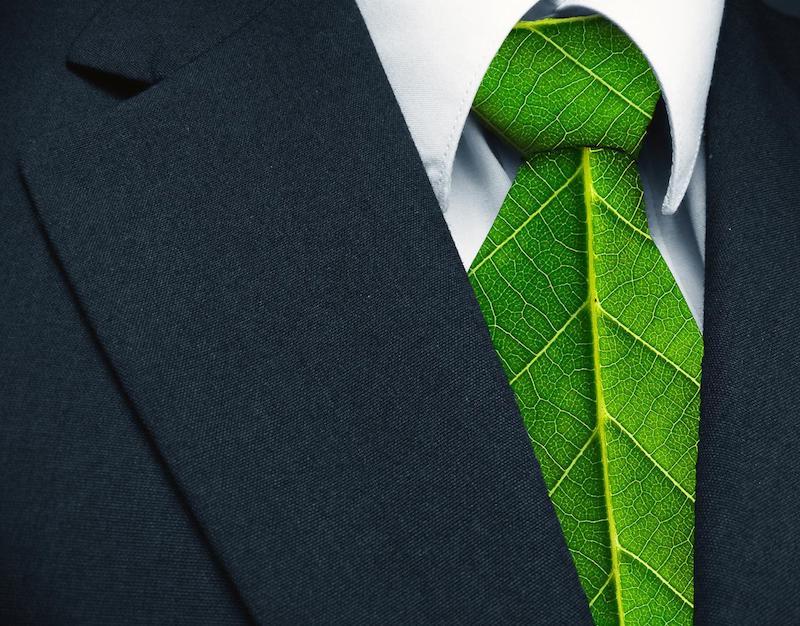 Green jobs, ormai è boom. Quali sono e dove trovarli