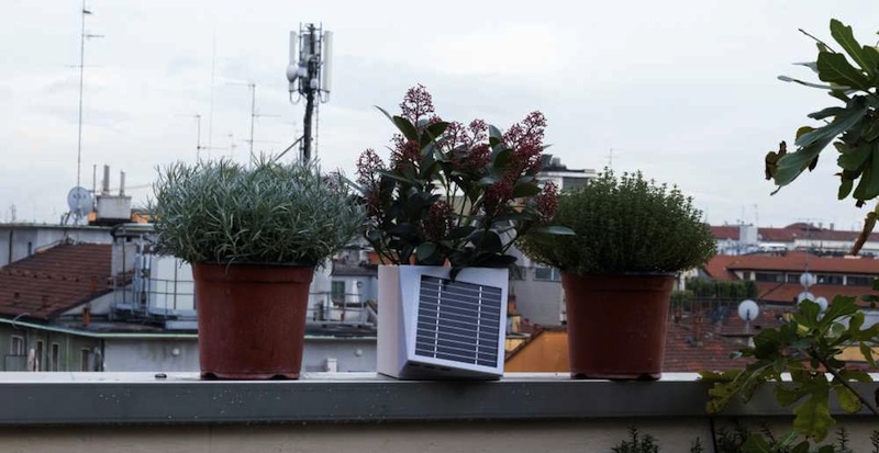 Arianna, il vaso da balcone per combattere l’inquinamento
