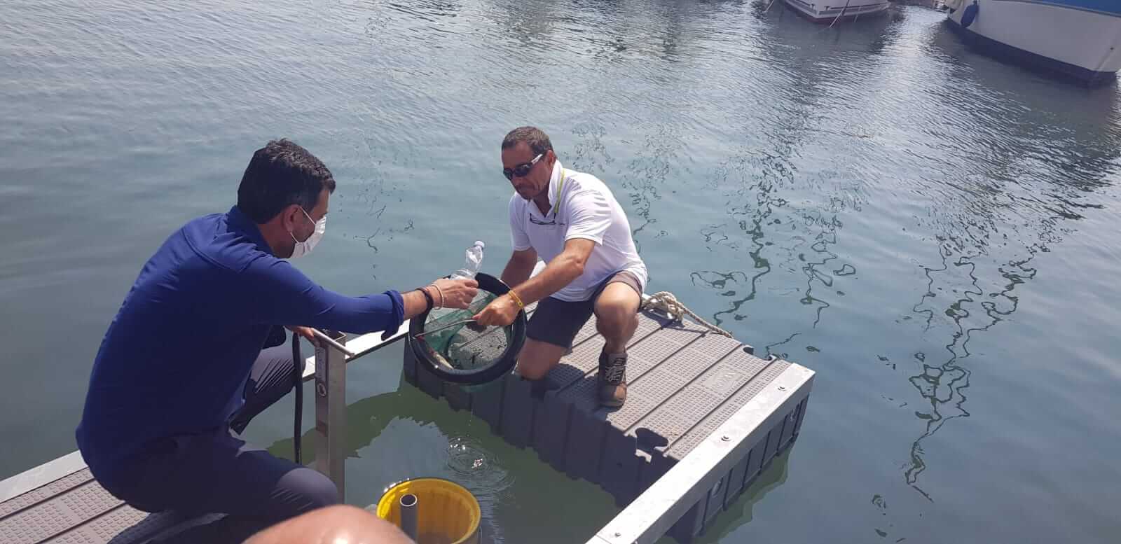 Seabin: come i cestini del mare si sono diffusi nel mondo