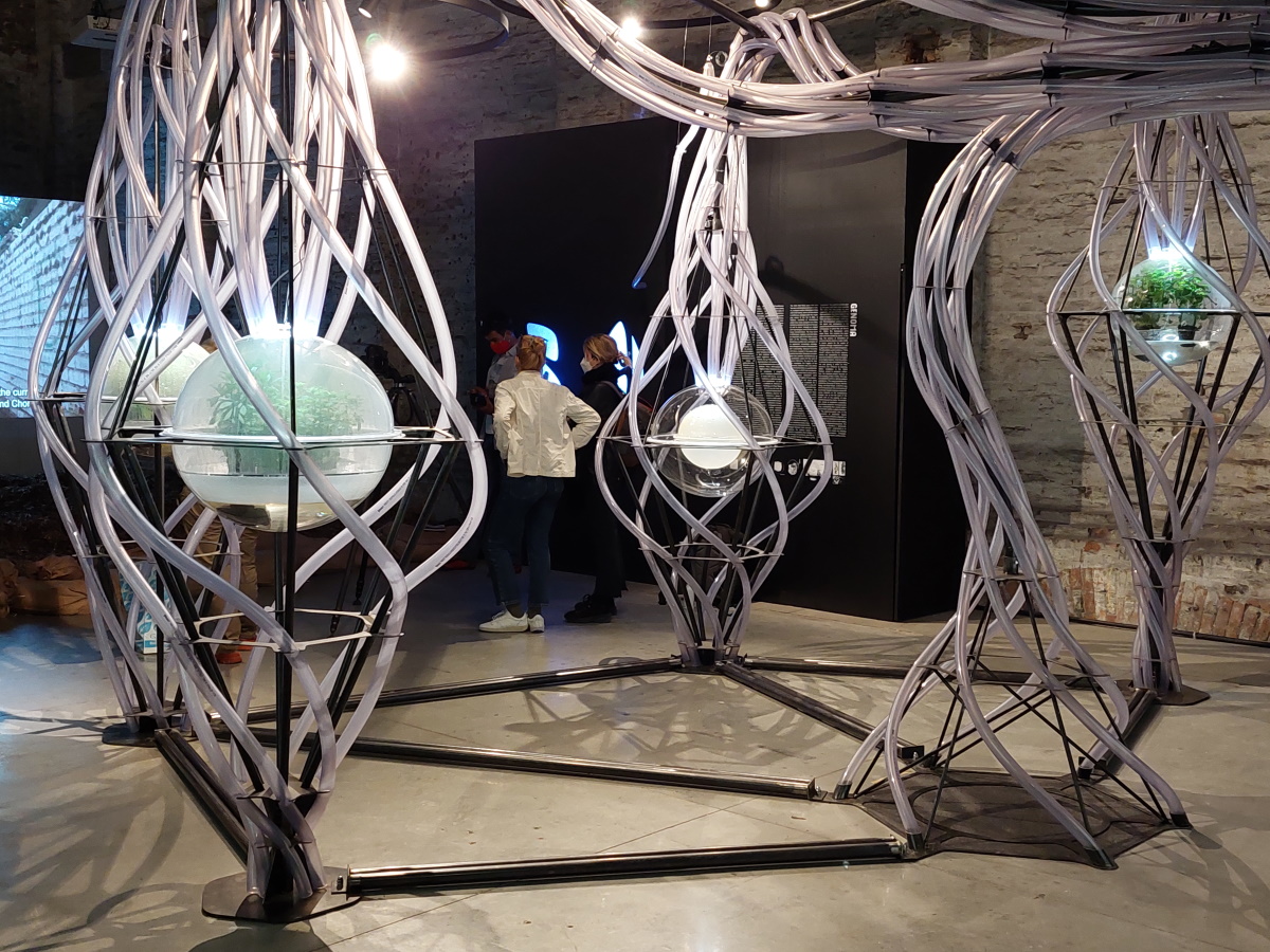 Biennale Venezia 2021, la resilienza al centro del dibattito architettonico