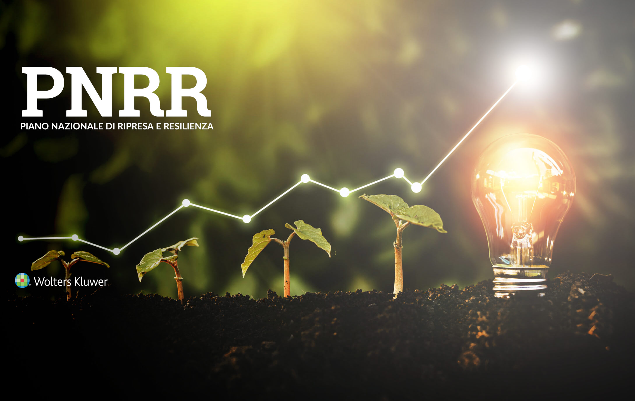 pnrr germogli piante crescono curva crescita energia verde